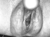 Puffy Pregnant Amateur Pussy